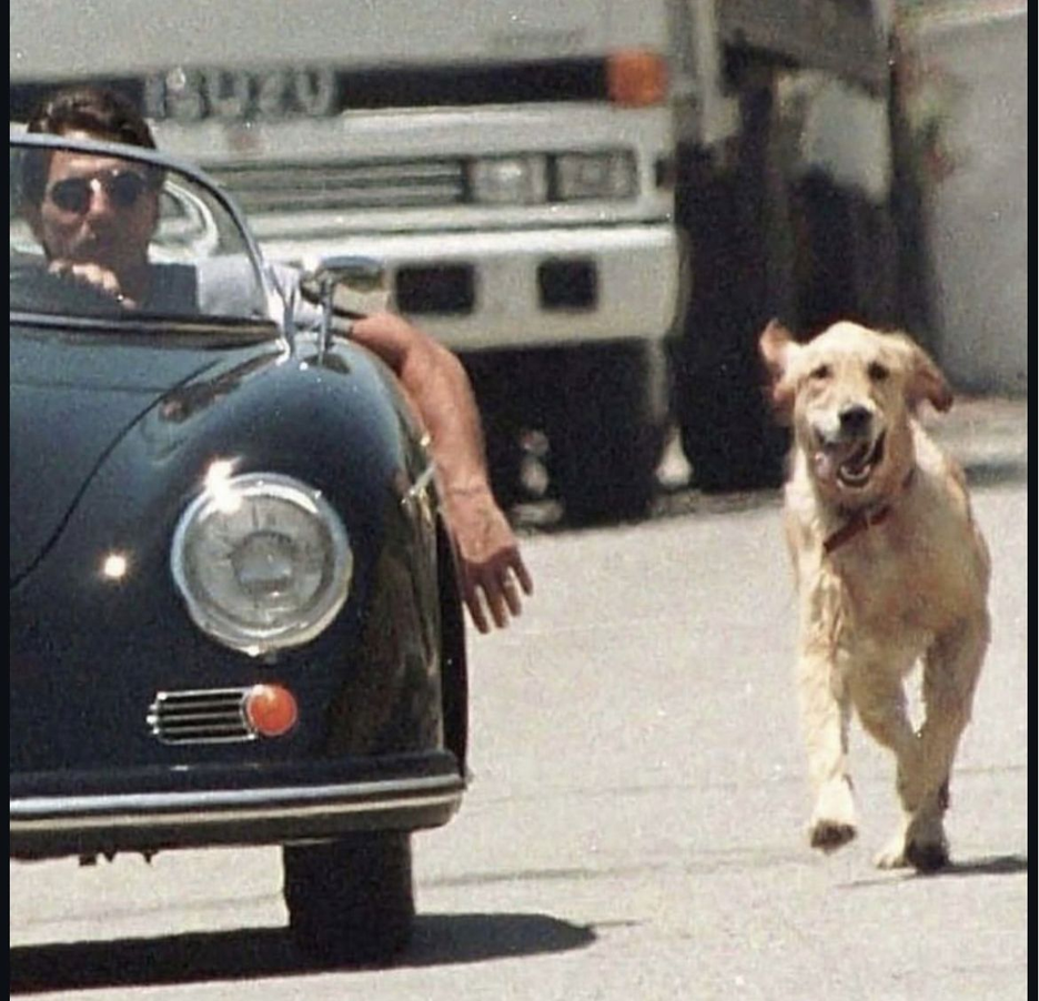 A dog running beside a classic car